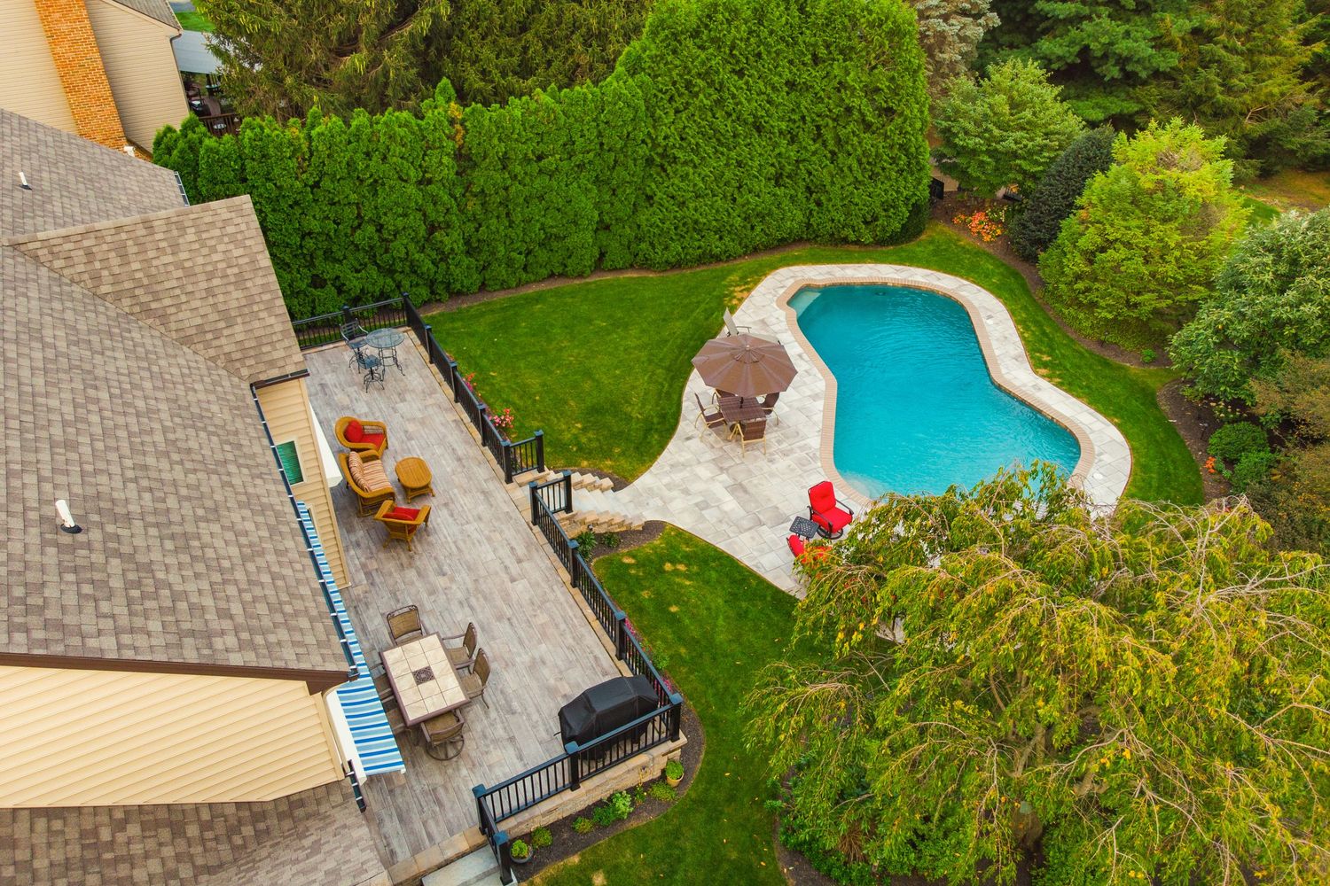 Aerial view of a backyard pool and deck screened by a tall evergreen privacy hedge