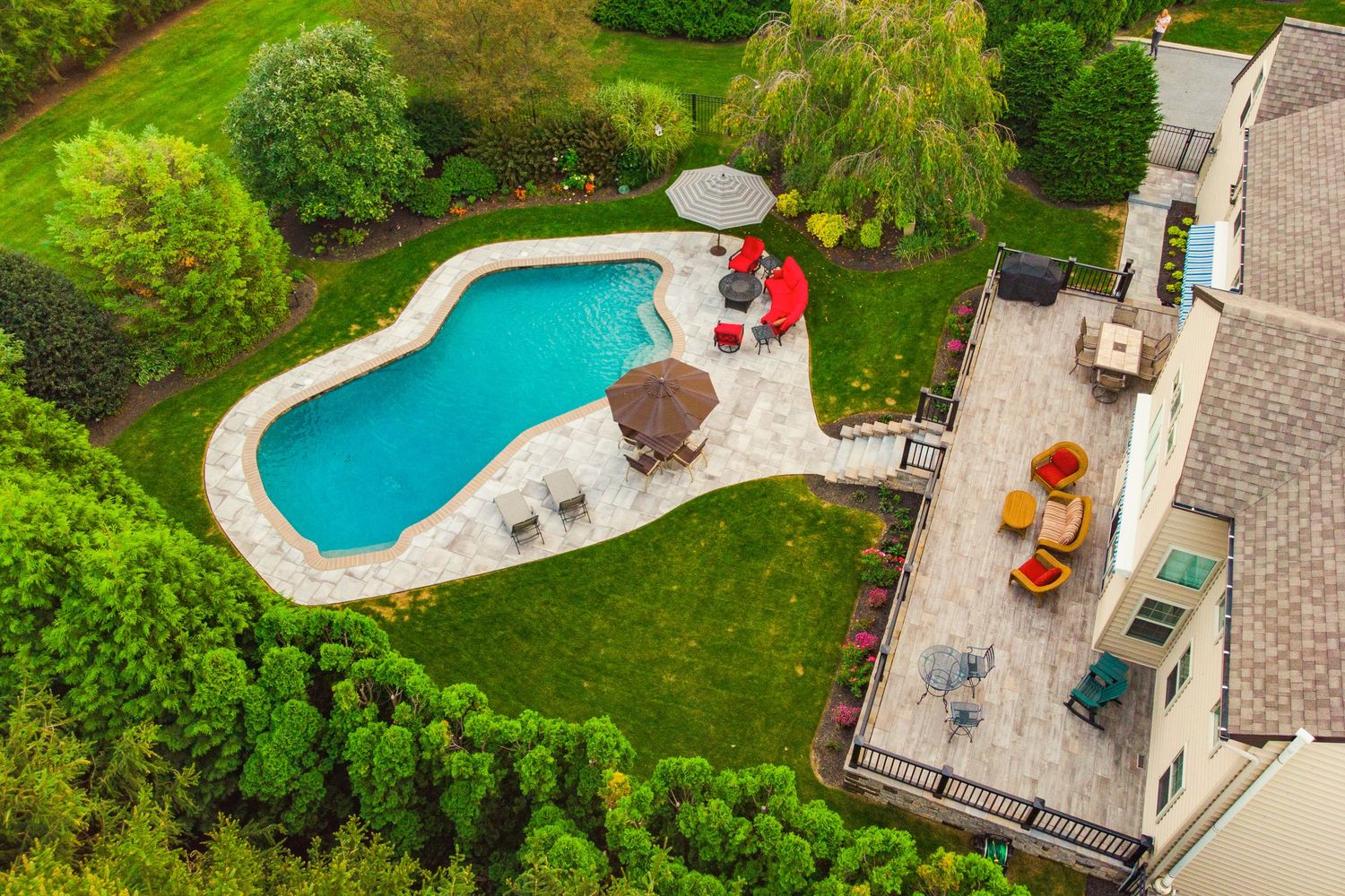 Aerial view of a free-form pool and furnished deck bordered by tall evergreens on a wooded lot