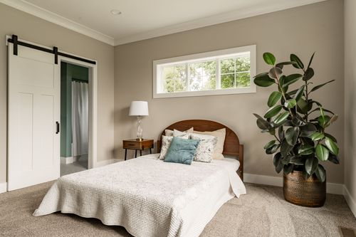 Bedroom with a wood headboard, sliding barn door and a potted plant