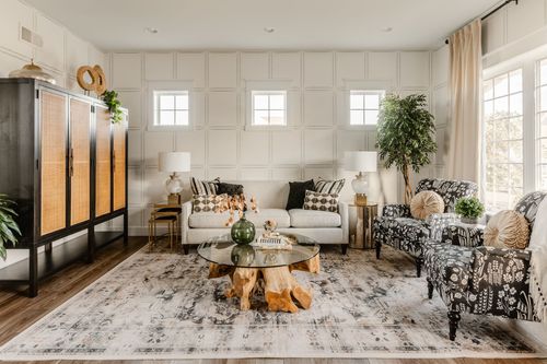 Living room with a cane cabinet, patterned chairs and a live-edge coffee table