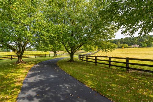 Tree-lined asphalt driveway bordered by a wood fence and open pasture