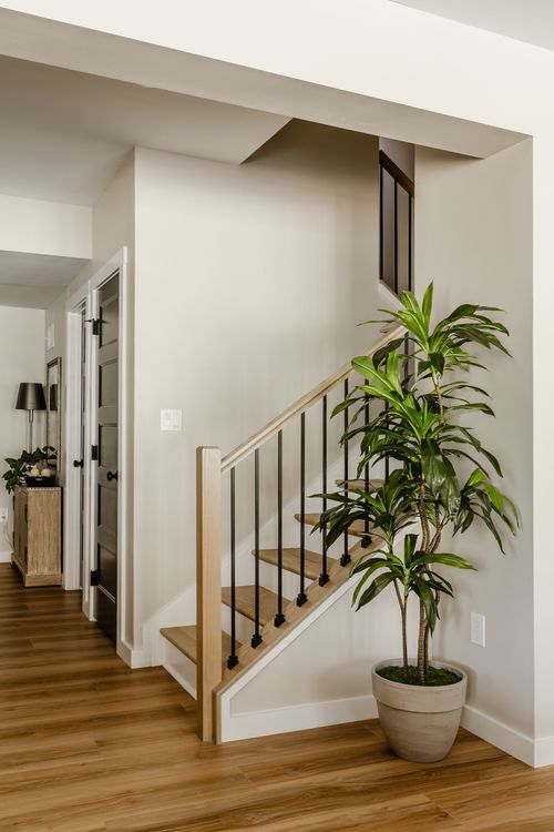 Wood staircase down to a lower level with black metal railing and a potted plant