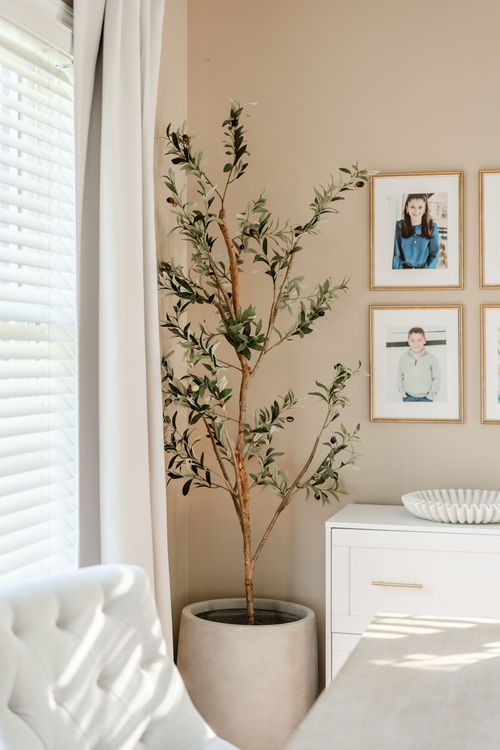 Faux olive tree in a planter beside a family photo gallery wall and white dresser