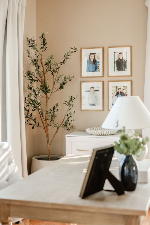 Faux olive tree beside a family photo gallery wall and a white two-drawer nightstand