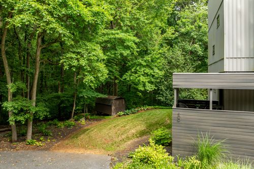 Wooded backyard with a dark storage shed on a grassy slope