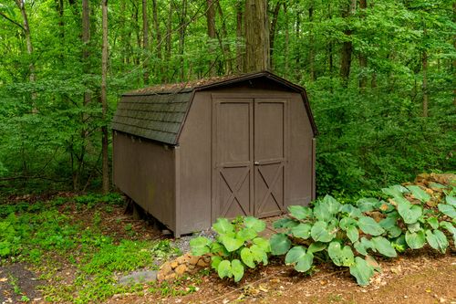 Gambrel-roof wooden storage shed nestled among trees with hosta plants nearby