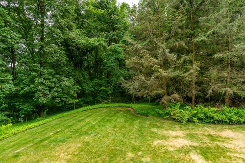 Open lawn bordered by mature trees and evergreens