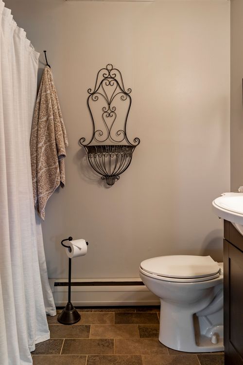 Bathroom with wrought-iron wall decor, patterned tile floor and shower curtain