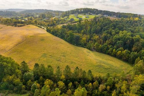Aerial view of golden hillside fields bordered by dense woodland and distant rooftops