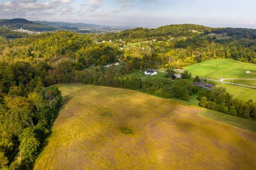 Aerial view of a hillside farm with scattered homes overlooking golden fields and woodland