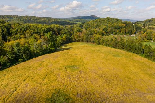 Aerial view of a golden hillside field bordered by forest with distant mountain ridges