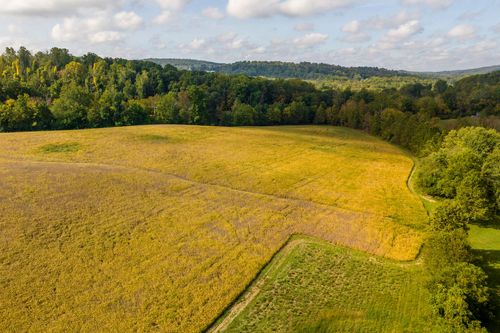 Aerial view of a golden harvested field bordered by trees on a rolling hillside