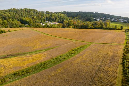 Aerial view of a curving golden field beside a wooded property with distant houses