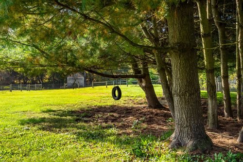 Tire swing hanging from a shaded tree branch over a grassy lawn