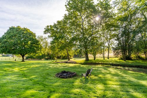 Fire pit and single chair on a sunlit lawn framed by mature shade trees
