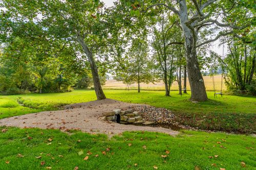 Stone-lined spring or well feature shaded beneath large sycamore trees