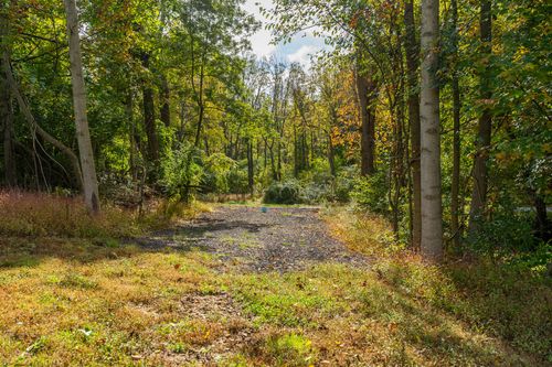 Dirt and gravel clearing path through a sunlit wooded grove