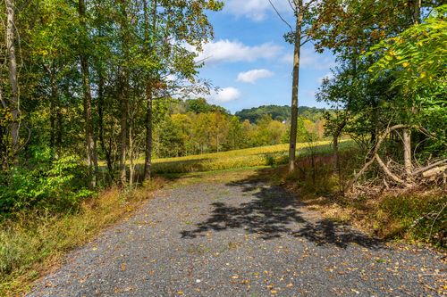 Gravel driveway curving through trees toward open farmland and rolling hills