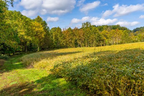 Golden harvested field bordered by dense woodland under a partly cloudy sky