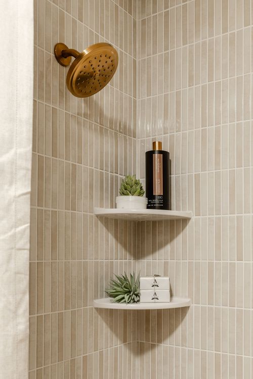 Shower corner detail with a brass shower head and floating tile shelves holding a succulent