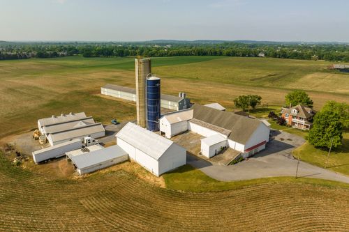 Aerial view of a dairy farm complex with silo, barns and a farmhouse surrounded by cropland