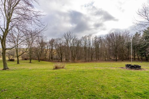 Open grassy yard bordered by bare trees under an overcast sky.