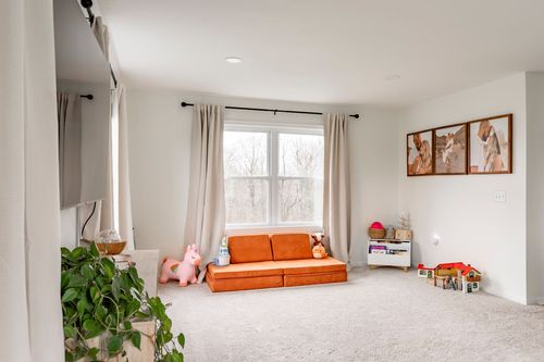 Playroom with an orange sleeper sofa, framed dog prints and a large houseplant.