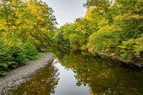 Wooded creek bend with a gravel bank and reflections of golden autumn foliage.