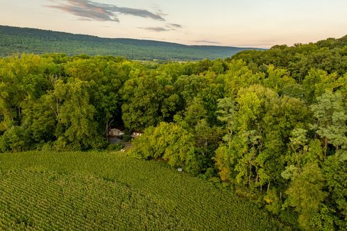 Aerial view of a cabin tucked into dense woods beside a cornfield at dusk.