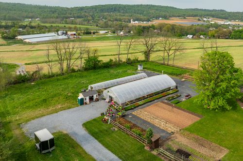 Aerial view of rolling farmland and distant farm buildings framed by a large shade tree