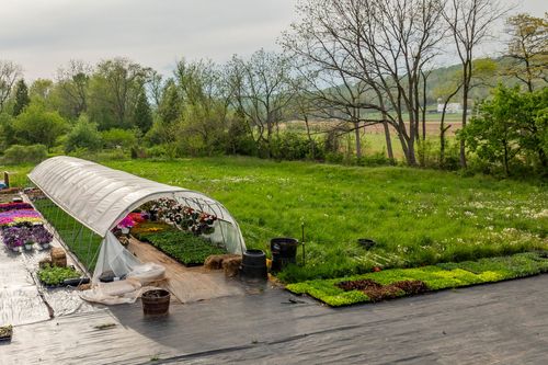 Hoop-house greenhouse interior with hanging baskets, seedling trays and stacked hay bales