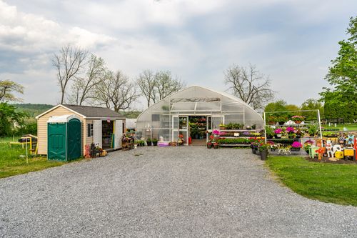 Greenhouse interior filled with hanging flower baskets above a sunlit center walkway