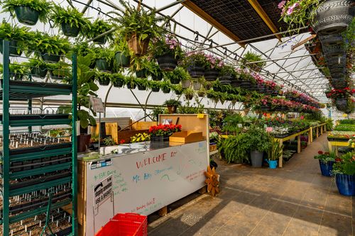 Tiered greenhouse shelving of hanging ferns, ivy and flowers above a hand-lettered welcome sign