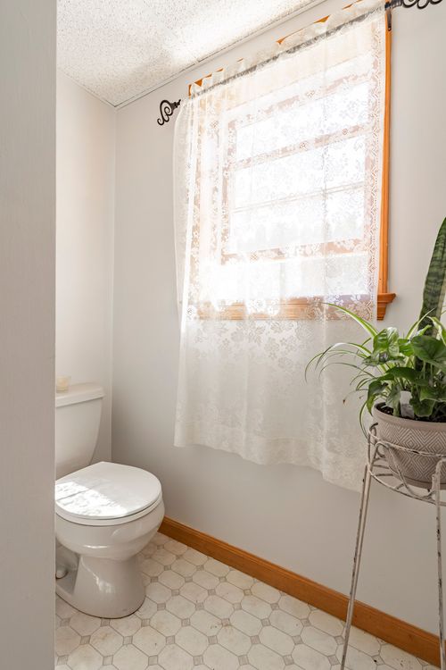 Powder room with a white toilet, lace curtain and potted snake plant on a stand