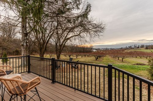 Deck seating area with wicker chairs overlooking rows of orchard trees at dusk