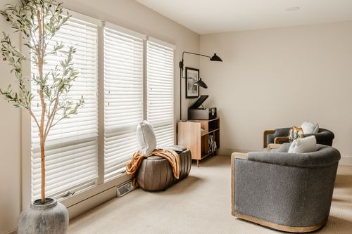 Sitting room with a tall window, faux olive tree, leather ottoman and curved gray chairs