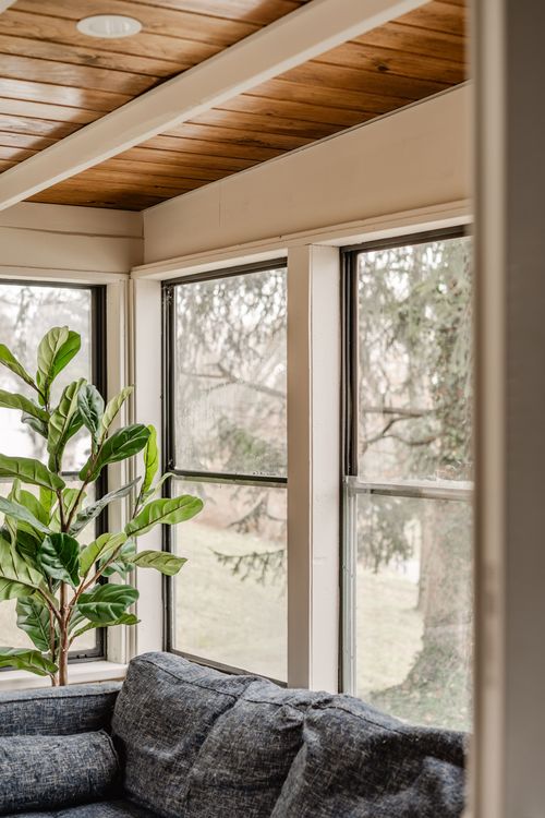 Detail of sunroom windows and wood beam ceiling with a fiddle leaf fig plant