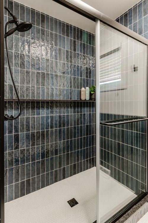 Corner shower shelf with toiletries and a small potted plant against navy tile