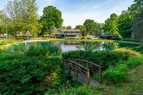 Wood footbridge over a garden pond bordered by lush shrubs near a lakeside home