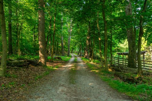 Gravel path winding through a wooded section of the property beside a split-rail fence
