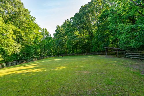 Open fenced pasture with a run-in shed bordered by dense mature woods