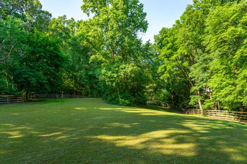Fenced grassy paddock surrounded by tall trees on a wooded rural property