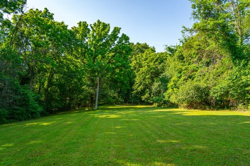 Open grassy clearing bordered by dense mature trees and dappled shade