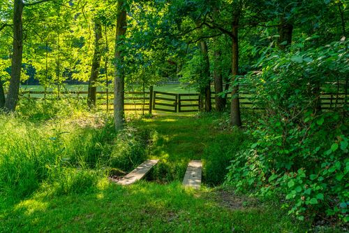 Wood plank footbridge crossing a grassy path toward a split-rail fenced pasture