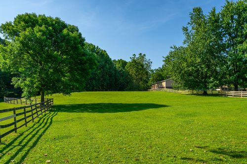 Fenced pasture with mature shade trees and a distant barn visible through the woods