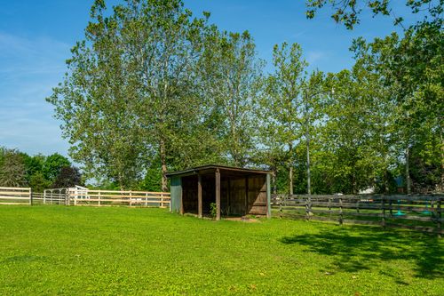 Wood run-in shelter beneath shade trees in a split-rail fenced pasture