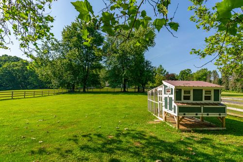 Green and white chicken coop with a metal roof set in a fenced pasture