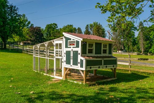 Close-up of a green chicken coop with a covered run and metal roof