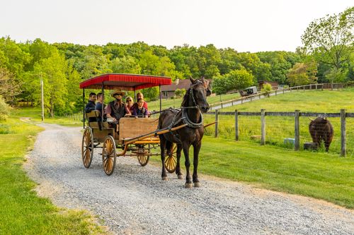Horse-drawn carriage with passengers riding along a gravel farm road