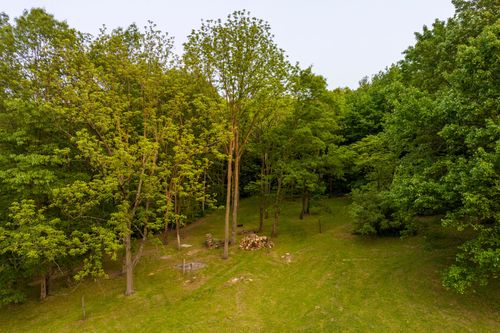 Aerial view of a wooded clearing with a small gathering area among tall trees